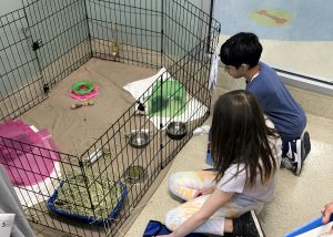 students look into a cage at the sheler 